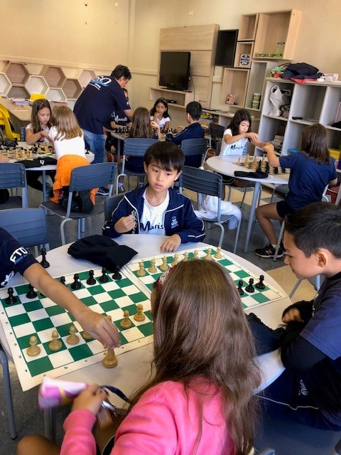 Aula de Xadrez  Escola Viverde