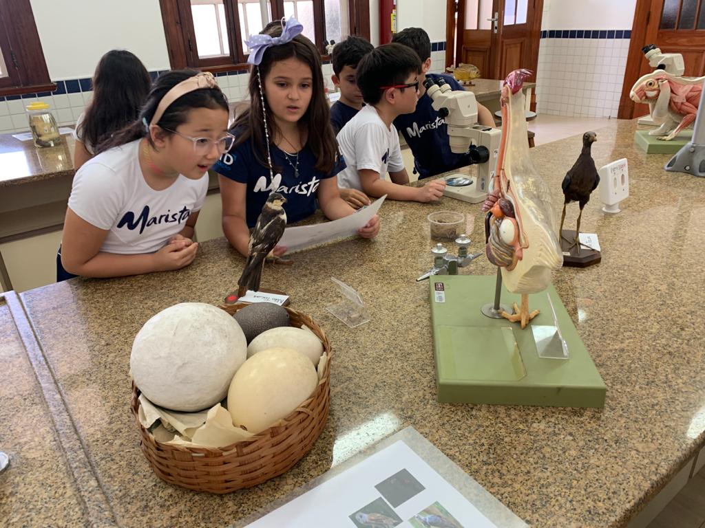 Animais invadem a aula dos terceiros anos no Laboratório de Ciências!